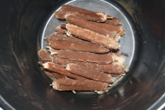 Schilf001